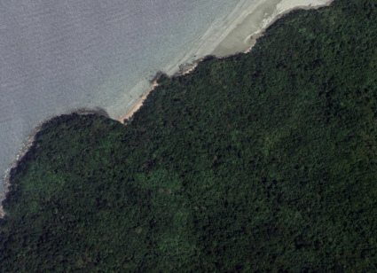 ที่ดินบางโจ