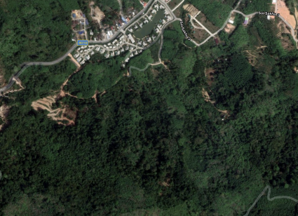 ที่ดินบางโจ2